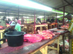 How Uba Sani modernised abattoirs, transformed meat processing in Kaduna — Butchers Butchers