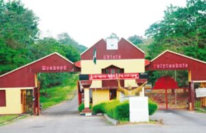 Ogun Poly expels 365 students over fake admission documents Admission