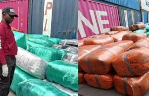 NDLEA recovers N12.3bn drugs imported from Canada at Lagos port NDLEA