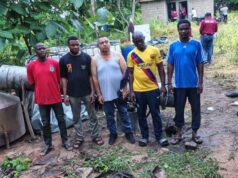 NDLEA uncovers drug lab in Oyo forest, nabs Mexican, 4 others NDLEA