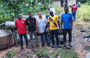 NDLEA uncovers drug lab in Oyo forest, nabs Mexican, 4 others NDLEA