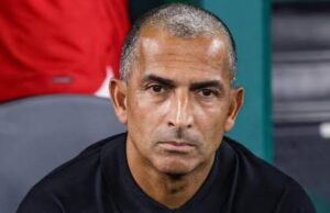 World Cup: Tunisia sacks coach after 5-1 loss to Sweden Coach