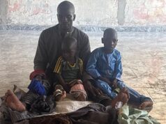 Troops arrest ISWAP fighter fleeing airstrikes in Borno