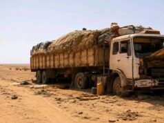 49 die of thirst after truck breaks down in Niger’s desert