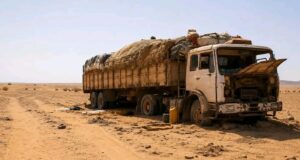49 die of thirst after truck breaks down in Niger’s desert