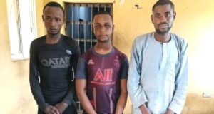 Troops arrest five bandit informants, recover phones, cash in Niger