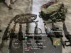 Troops, DSS uncover IPOB, ESN arms cache in Enugu