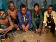 Troops arrest five kidnappers, recover AK-47 rifles in Borno