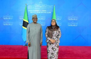 Tanzania, Dangote advance talks on investments in infrastructure, energy, fertiliser Tanzania