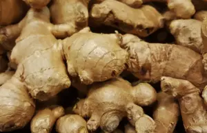 NADF, NRCRI launch initiative to revive Nigeria’s ginger industry