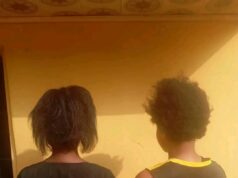 Police arrest woman for staging own kidnap to extort mother in Benue