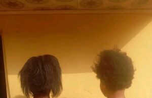 Police arrest woman for staging own kidnap to extort mother in Benue