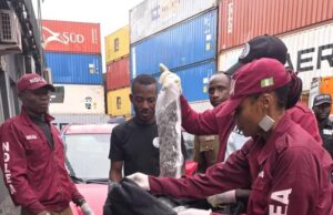 NDLEA recovers N10.3bn imported drugs at Lagos port NDLEA