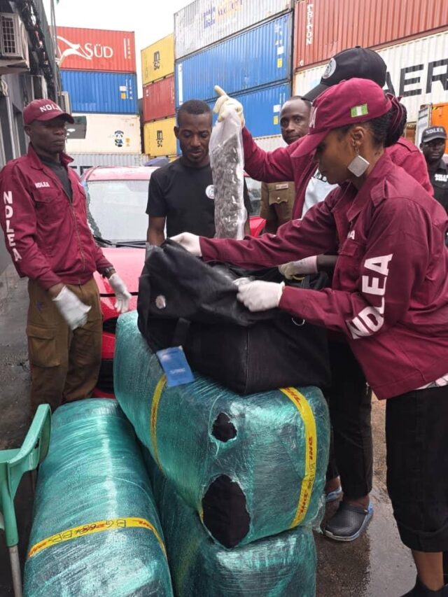 NDLEA recovers N10.3bn imported drugs at Lagos port NDLEA