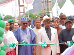 Wike declares Abuja ‘closed’ to Tinubu’s critics, says projects have silenced opposition Wike