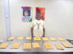 NDLEA nabs businessman over attempt to export cocaine packed as foodstuffs to UK NDLEA