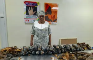 NDLEA arrests UK-based grandma with 13kg cocaine disguised as plantain