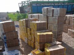 Troops arrest 5 terrorist logistics suppliers, seize medical supplies in Borno Troops