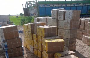 Troops arrest 5 terrorist logistics suppliers, seize medical supplies in Borno Troops