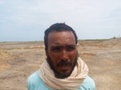 Troops arrest foreign ISIS-linked operative in Borno