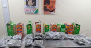 NDLEA intercepts 1.63 million tramadol pills bound for Kano