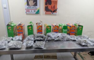 NDLEA intercepts 1.63 million tramadol pills bound for Kano