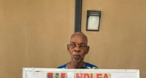 80-year-old drug dealer arrested with 800 grams skunk in Edo