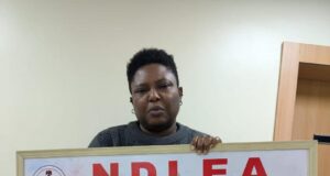 NDLEA arrests businesswoman over Canada drug shipment