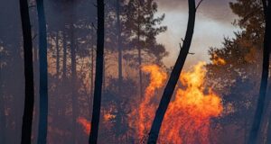 ‘Over 260,000 evacuated’: Latest developments in Europe wildfires Wildfires
