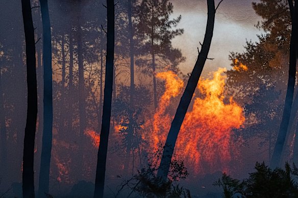 Europe wildfires Wildfires