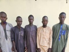 Troops arrest 5 kidnappers, recover arms in Yobe raid Troops