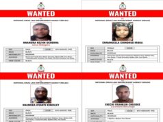 NDLEA declares 4 wanted for drug money laundering, blocks N9.8bn accounts NDLEA