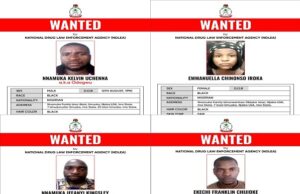 NDLEA declares 4 wanted for drug money laundering, blocks N9.8bn accounts NDLEA