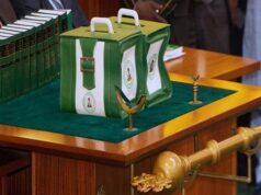 2026 budget: FG earmarks N30bn for palaces, religious projects amid funding concerns Palace