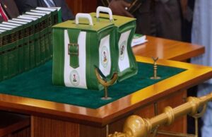 2026 budget: FG earmarks N30bn for palaces, religious projects amid funding concerns Palace