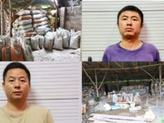 Court jails two Chinese nationals five years for illegal mining, export of minerals