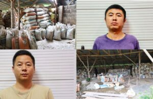 Court jails two Chinese nationals five years for illegal mining, export of minerals