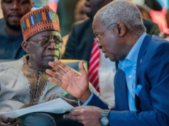 I advise Tinubu privately, not on television — Fashola