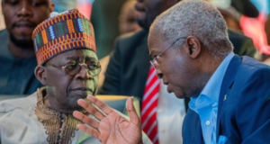 I advise Tinubu privately, not on television — Fashola