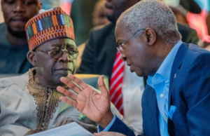 I advise Tinubu privately, not on television — Fashola