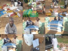 Troops arrest 6 terrorist logistics suppliers, recover Starlink device, bags of rice in Borno Terrorist