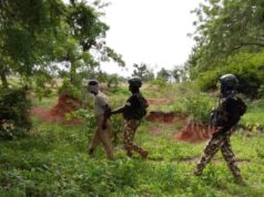 Troops nab Sudanese terrorist, illegal immigrant in Borno Terrorist