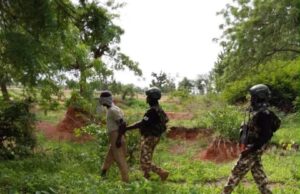 Troops nab Sudanese terrorist, illegal immigrant in Borno Terrorist