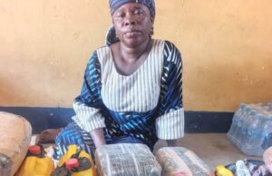 Troops intercept terror drug courier in Borno