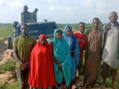 Troops rescue nine kidnap victims, recover 56 livestock in Katsina
