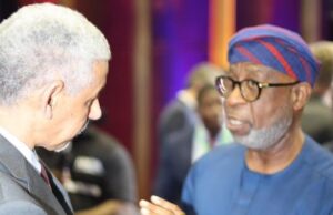 Africa must end raw mineral exports — Alake