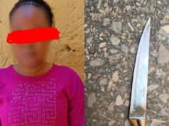 Woman arrested over mutilation of boyfriend in Kano