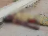 Speeding vehicle kills pedestrian in Oyo
