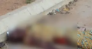 Speeding vehicle kills pedestrian in Oyo