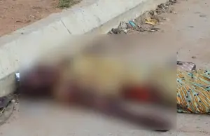 Speeding vehicle kills pedestrian in Oyo